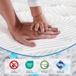 12 Inch Mattress with Pillows, Gel Memory Foam Mattress Bed in a Box, Twin Bed Mattress Individual Pocket Springs Motion Isolation, Medium Firm