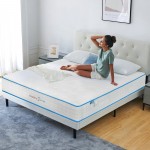 12 Inch Mattress with Pillows, Gel Memory Foam Mattress Bed in a Box, Twin Bed Mattress Individual Pocket Springs Motion Isolation, Medium Firm